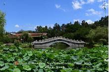 珙县石板溪娃娃鱼生态园AR智慧旅游