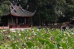 新繁东湖景区AR智慧旅游