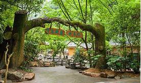 千岛湖森林氧吧AR智慧旅游