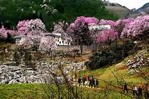 绵阳市北川药王谷旅游景区AR智慧旅游