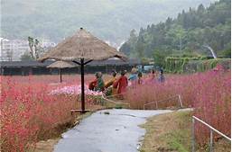 雁荡山筋竹涧生态农业观光园AR智慧旅游