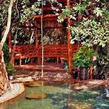 遂昌汤沐园森林温泉AR智慧旅游