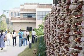 仙草堂生态灵芝透明工厂AR智慧旅游