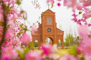 林拥城药都林海景区AR智慧旅游