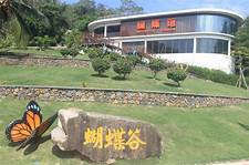 蝴蝶谷景区AR智慧旅游