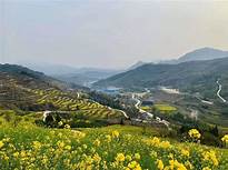 金寨县茶山花海景区AR智慧旅游