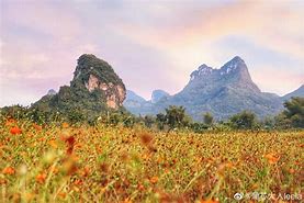 崇左大新德天老木棉景区AR智慧旅游