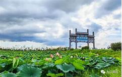 芜湖陶辛水韵景区AR智慧旅游