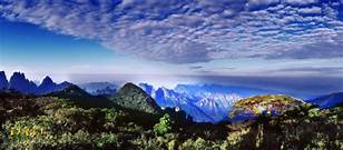 银杉森林公园景区AR智慧旅游