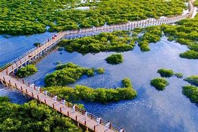 北海金海湾红树林生态旅游区AR智慧旅游
