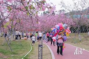 湛江市廉江樱花公园景区AR智慧旅游