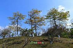 东莞市森晖自然博物馆景区AR智慧旅游