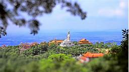 东莞市观音山国家森林公园AR智慧旅游