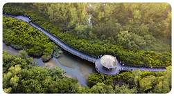 惠州市大亚湾红树林城市湿地公园AR智慧旅游