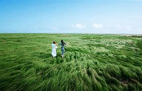 江西省上饶市鄱阳湖大草原景区AR智慧旅游