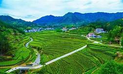 英山县乌云山茶叶公园AR智慧旅游