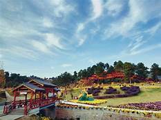 麻城市五脑山森林公园AR智慧旅游