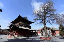 枣阳市白竹园寺AR智慧旅游