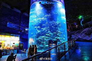 蓬莱海洋极地世界AR智慧旅游