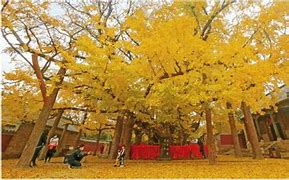 浮来山风景区AR智慧旅游