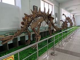 平邑天宇自然博物馆旅游区AR智慧旅游
