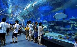 德州市泉城海洋极地世界景区AR智慧旅游