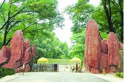 商丘黄河故道国家森林公园AR智慧旅游