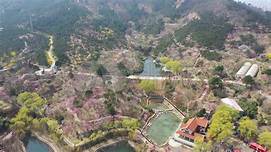 十梅庵风景区AR智慧旅游