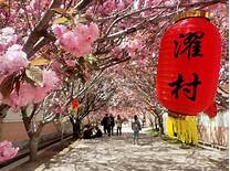 莱阳市濯村特色农业旅游区AR智慧旅游