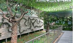 烟台蛇博园AR智慧旅游