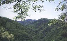 灵宝市燕子山国家森林公园AR智慧旅游