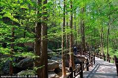 樱桃沟景区AR智慧旅游