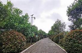 梁山百果园景区AR智慧旅游