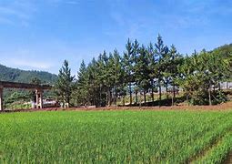 冠县七彩农场研学基地AR智慧旅游