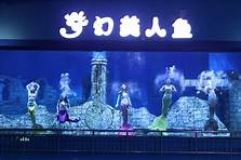 寿光极地海洋世界AR智慧旅游