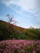 临朐官护山景区AR智慧旅游
