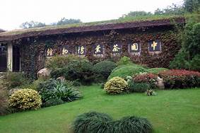 杭州西湖龙井茶博物馆AR智慧旅游