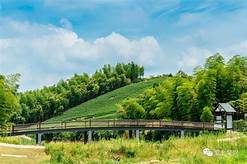 湖州市吴兴区妙境禅茶文化博物馆AR智慧旅游
