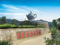 临海市羊岩山茶文化博物馆AR智慧旅游