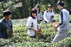 蒙顶山茶史博物馆AR智慧旅游