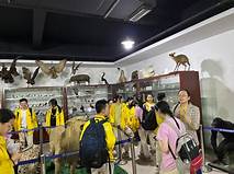 成都饮食文化博物馆AR智慧旅游