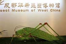 成都华希昆虫博物馆AR智慧旅游
