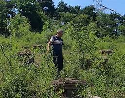 禹州宋元钧瓷标本博物馆