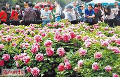 洛阳市伊龙砖雕艺术博物馆AR智慧旅游