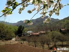 淄博市淄川区渭头河大缸博物馆