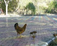 王爷府民俗博物馆