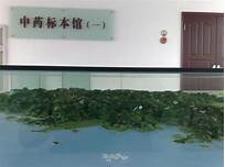 苏州中医药博物馆