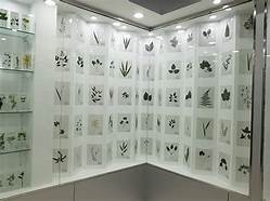 九江市柴桑区植物标本博物馆